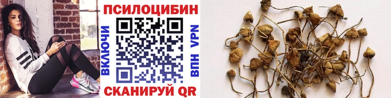 Псилоцибиновые грибы MAGIC MUSHROOMS  Ростов 