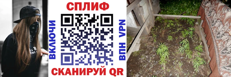 Канабис марихуана  Ростов 